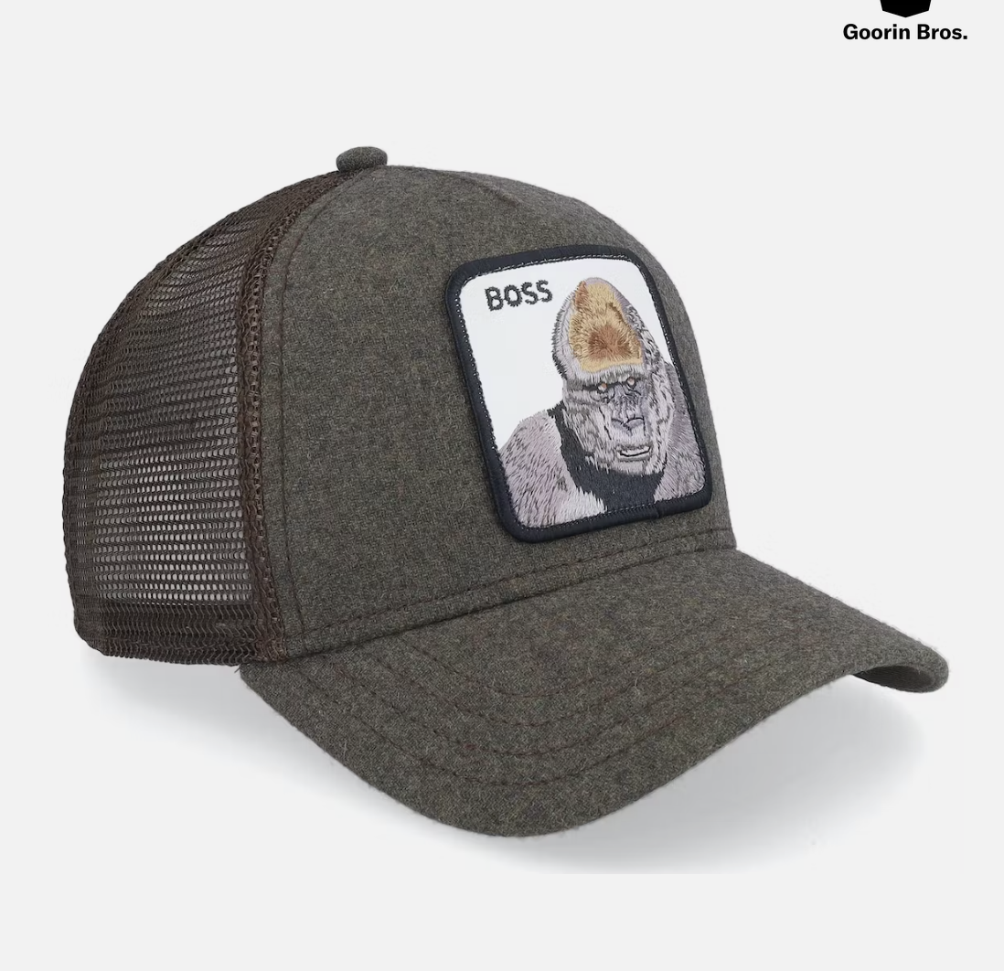 Boss Energy Hat